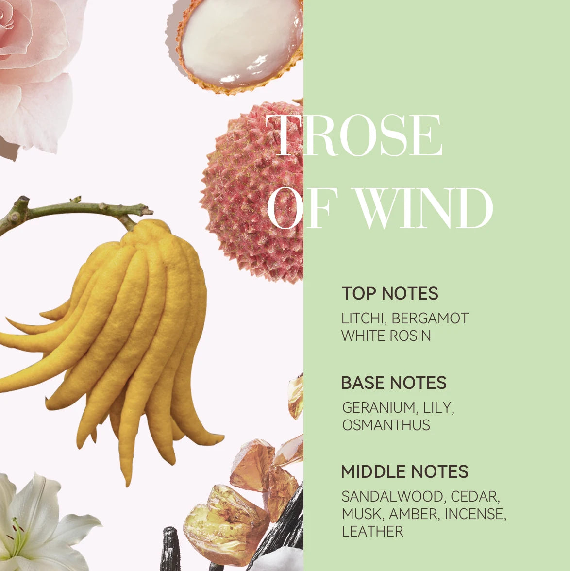 ALFHEIM Brass Busting Shampoo And Conditioner Set