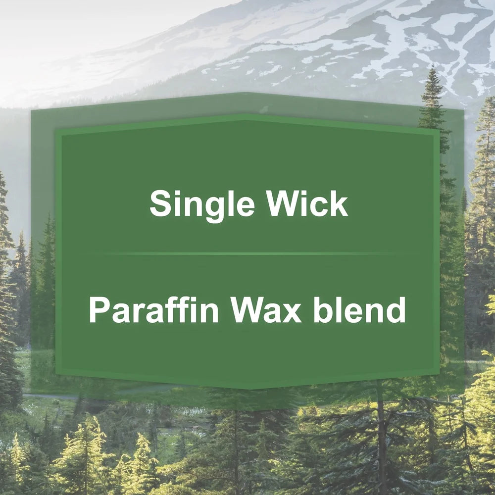 Alpine Forest Scented Candle 20oz Single Wick Glass Jar Relaxing Aromatherapy Candle Long Lasting Clean Burning Wax Indoor Decor
